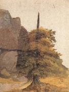 Albrecht Durer A Tree in a Quarry china oil painting artist